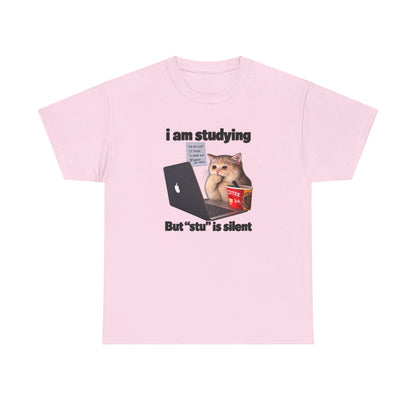i am studying but stu is silent